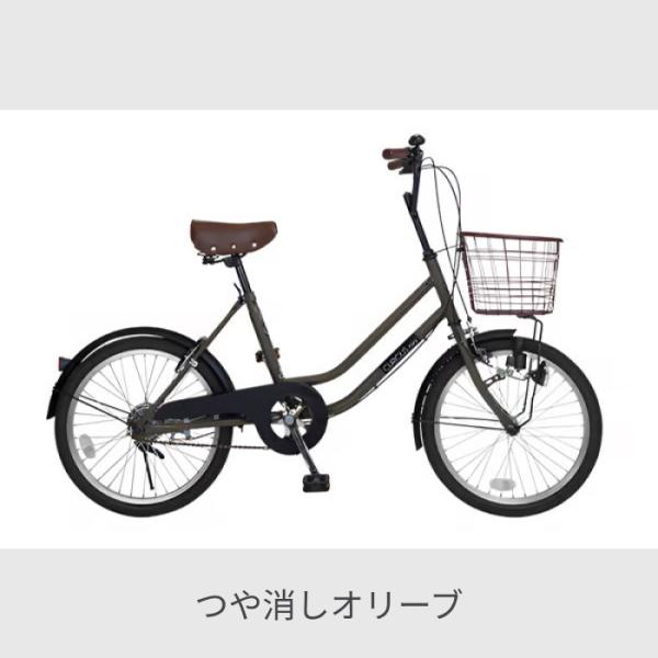 cyma_am-044-1_1_d_20241224175444