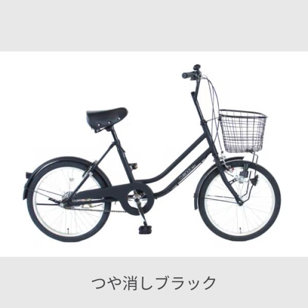 cyma_am-044-1_2_d_20241224175445