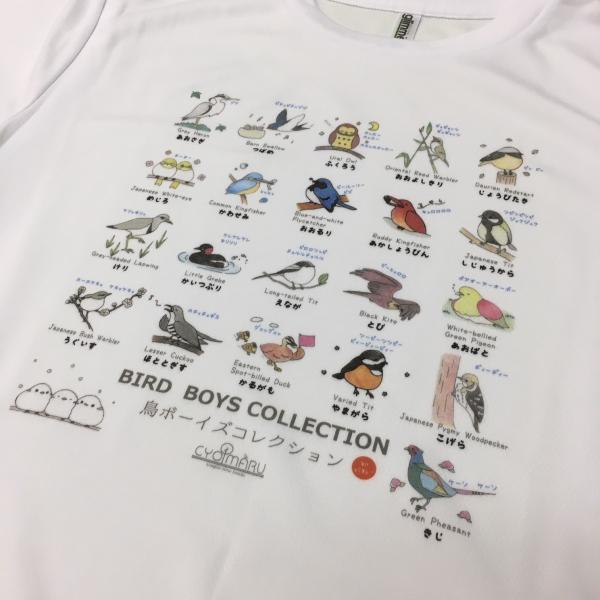 野鳥Tシャツ】鳥ボーイズコレクションTシャツ《野鳥図鑑Tシャツ》名前や鳴き声も覚えられる♪  通販 