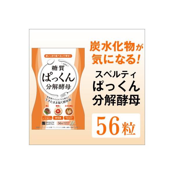 5Zbg@XxeB@ς񕪉y 56