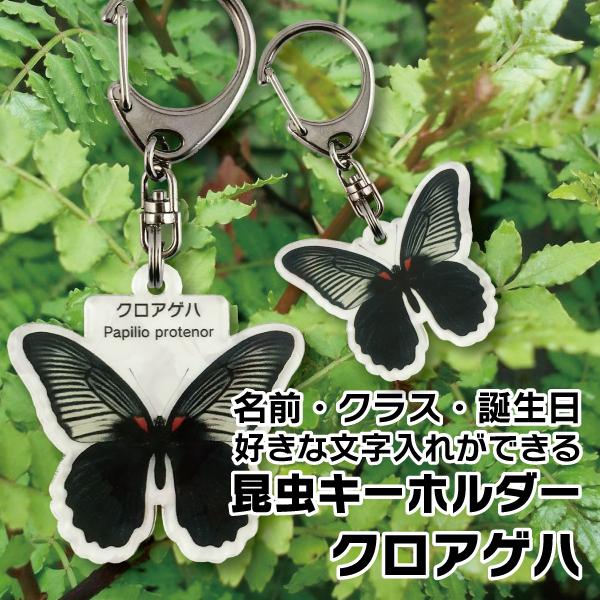 お子様の入園や入学のお祝いなどに最適な昆虫キーホルダーです。1ピクセル単位まで彩色にこだわったデジタルイラスト画になります。お名前やクラスなどの名入れ＆文字入れができます。虫好きの人のための、名入れ無しバージョンもあります。お好きな形をお選...