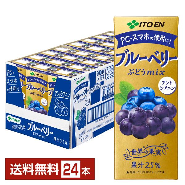 他サイト： 伊藤園 世界の果実 ブルーベリーぶどうmix ミックス 200ml 紙パック 24本 1ケース 送料無料の商品画像