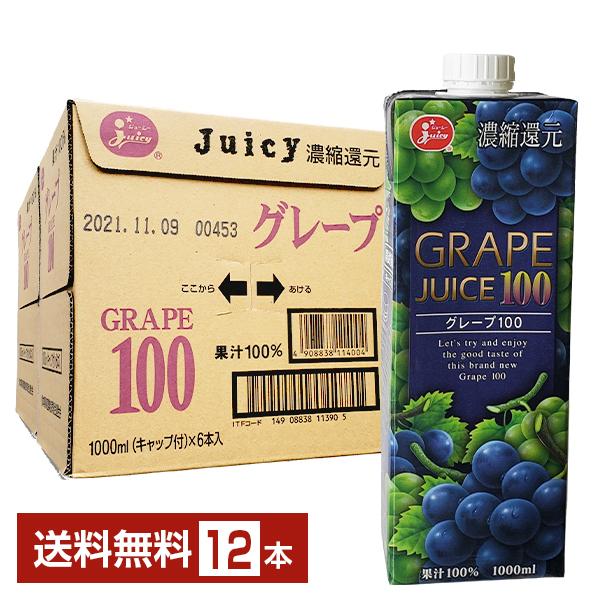 グレープ1剤8本2剤1本　よろしくお願いします ジューシー グレープ100 濃縮還元 1L 1000ml 紙パック 6本×2ケース（12