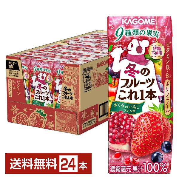 他サイト： 季節限定 冬のフルーツこれ一本 ざくろ＆いちごブレンド 200ml 紙パック 24本 1ケース 送料無料の商品画像