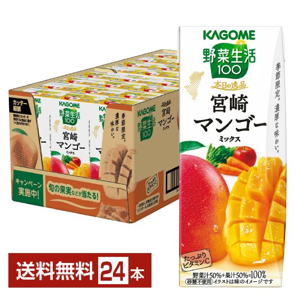 本日摘果✳︎宮崎県産ブルーマンゴー【10kg】ミックス 野菜生活100 ポイント5倍 季節限定 本日の逸品 宮崎マンゴーミックス