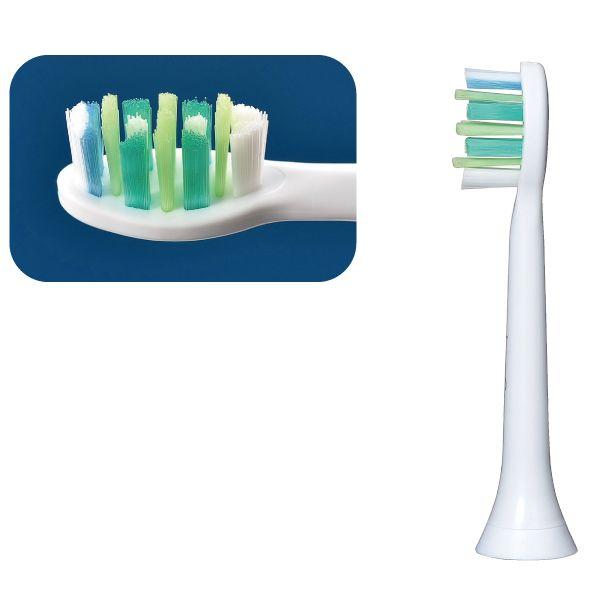 \jbPA[ ւuV C^[PA[uVX^_[h 1{([4_܂)