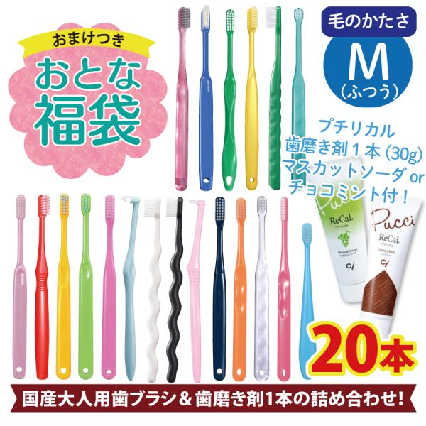 歯ブラシ 歯科専用 アソート20本セット福袋 歯みがき粉おまけ付 歯ブラシは全て日本製のこだわり福袋 :36667:歯科医院専売品のデンタルフィット - 通販 - Yahoo!ショッピング 歯ブラシ 歯科専用 アソート20本セット福袋 歯みがき粉おまけ付 歯ブラシは全て日本製のこだわり福袋 :36667:歯科医院専売品のデンタルフィット - 通販 - Yahoo!ショッピング
