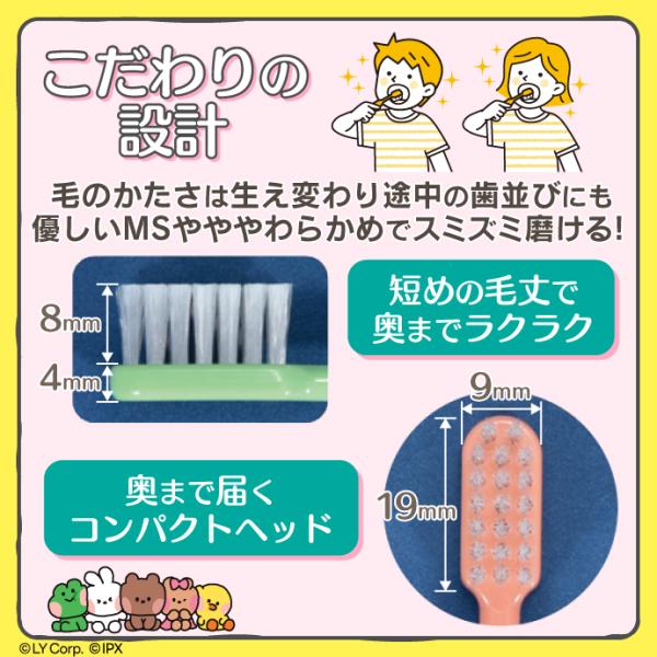 Ci shuwa shuwa Jr. LINE FRIENDS minini�i���C�� �t�����Y �~�j�j�j 1�{ (MS�����炩��) �q���p ���u���V �R���p�N�g�w�b�h ���{�� ���[����40�_�܂� ���i�摜3