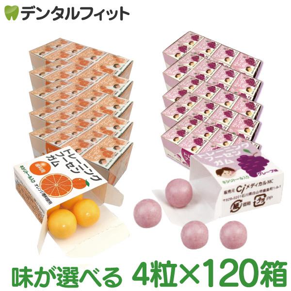 トレーニング フーセンガム (4粒x120箱) グレープ/オレンジ 口腔