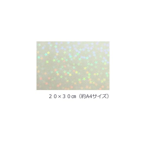 zOV[g }CNX^[ 20cm×30cm(A4TCY)