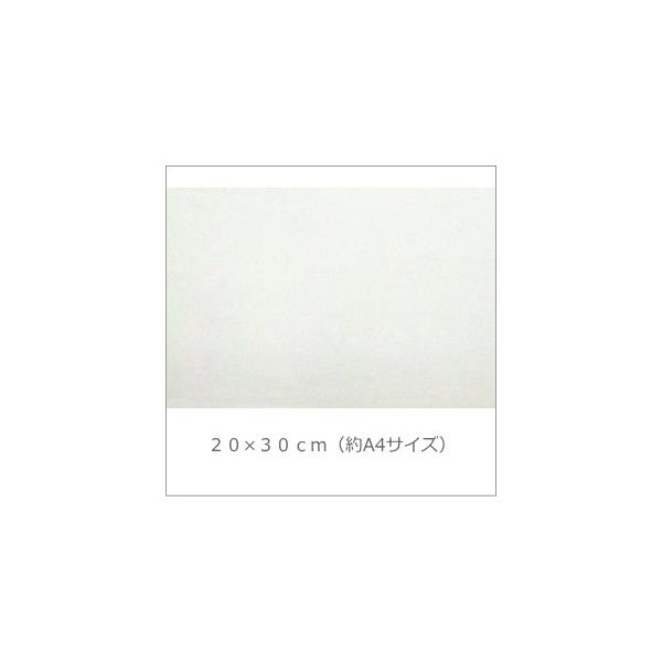 V[g(̖؋V[g)20cm×30cm(A4TCY)@@