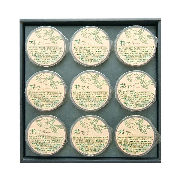 奈良店取扱い商品 王隠堂 青梅ゼリーセット 9個入 Dg005 コt Ymtj 奈良 お取り寄せ お土産 ギフト 贈り物 進物 おみやげ C 近鉄百貨店ネットショップヤフー店 通販 Yahoo ショッピング