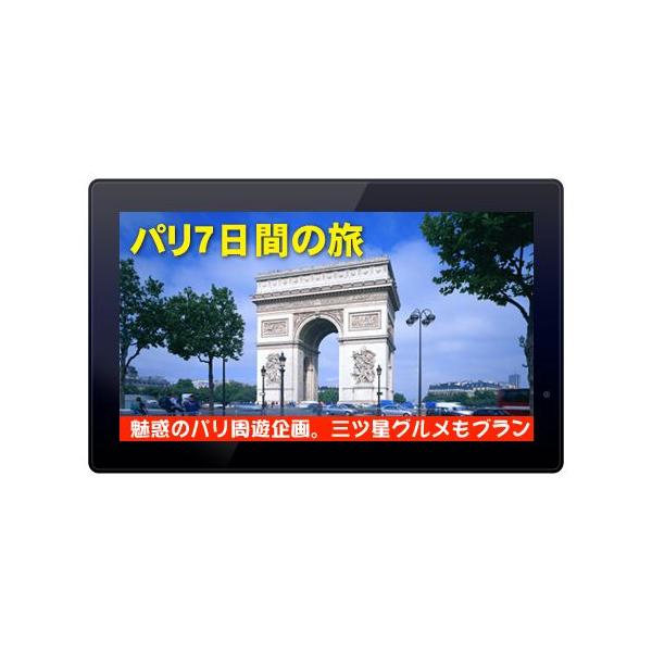 fW^ʐ^/dqPOPuSP-185DMv