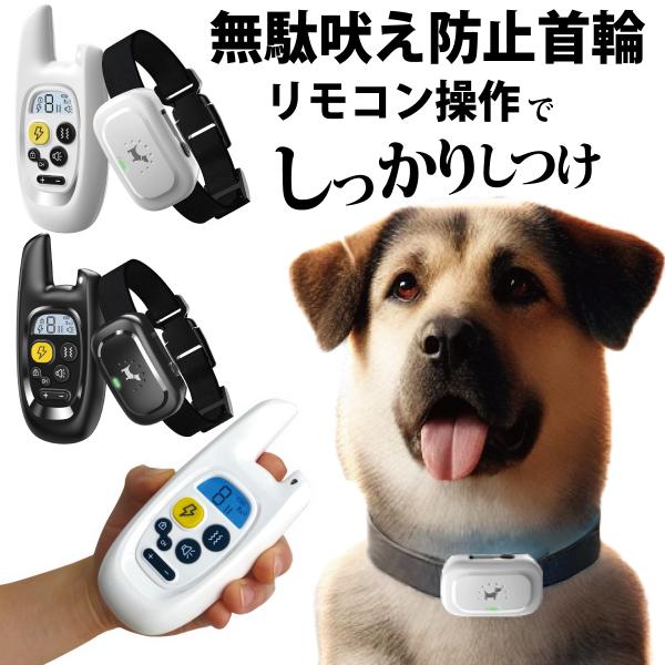 d-n_pet-mudaboe-rimocon