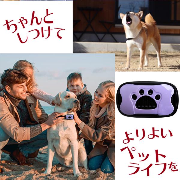 取寄 Reddi Pet 犬用ムダ吠えしつけ首輪 ノーバークカラー Sサイズ Rp Nbcs4 903円