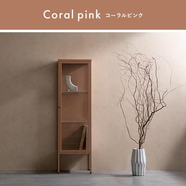 宮武製作所 メーカー直送 Muun(ムーン) DSP-1160-CPK ディスプレイ