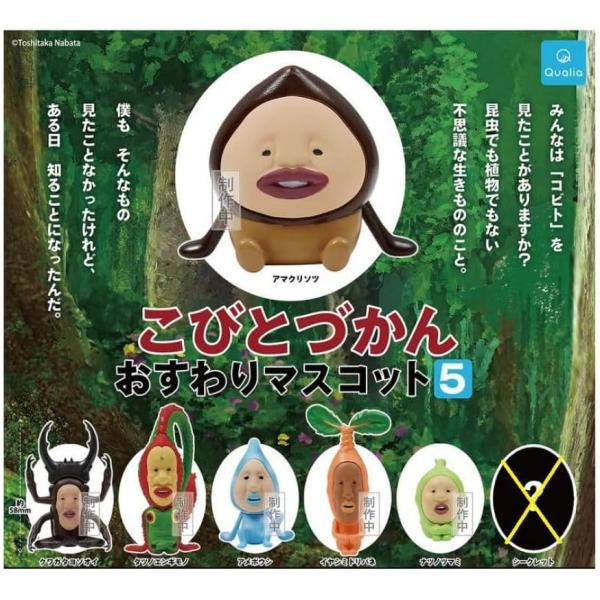 (シークレットなし) こびとづかん おすわりマスコット5 ノーマル6種セット クオリア ガチャガチャ カプセルトイ