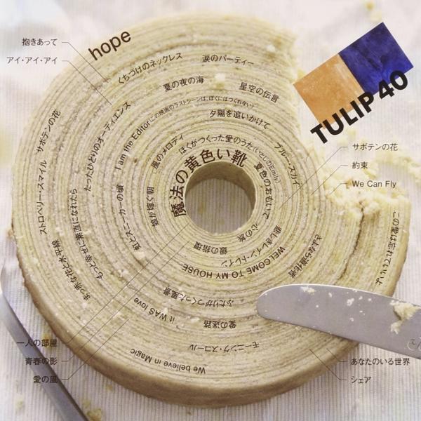 優良配送 廃盤 チューリップ CD TULIP 40 すべてのシングル40曲