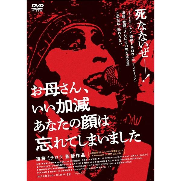 優良配送 廃盤 お母さん、いい加減あなたの顔は忘れてしまいました 2DVD 遠藤ミチロウ PR
