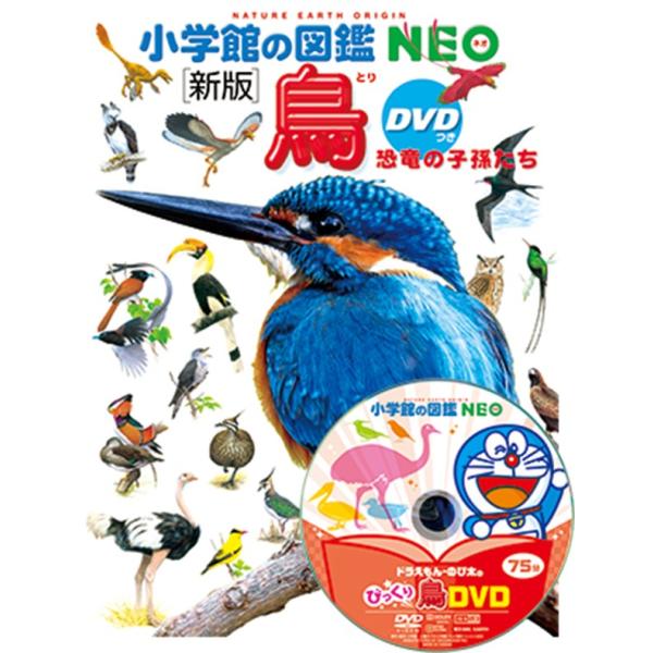 鳥 図鑑 小学館 鳥DVD d-tsutayabooks_kids0090