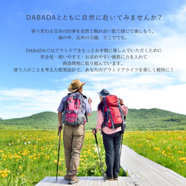 dabada_a-pole-lg_3_d_20230605101208