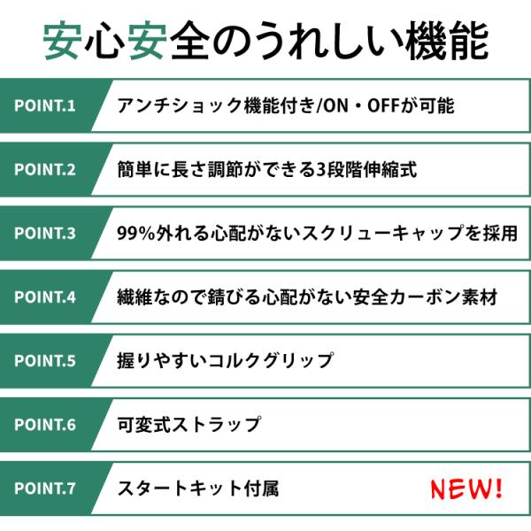 dabada_c-pole_2_d_20260810154554