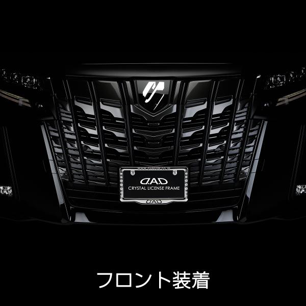 D.A.D �W���G���[ �i���o�[�v���[�g �G���u���� 2 SB183 2���� DAD �M�����\�� GARSON ���i�摜2