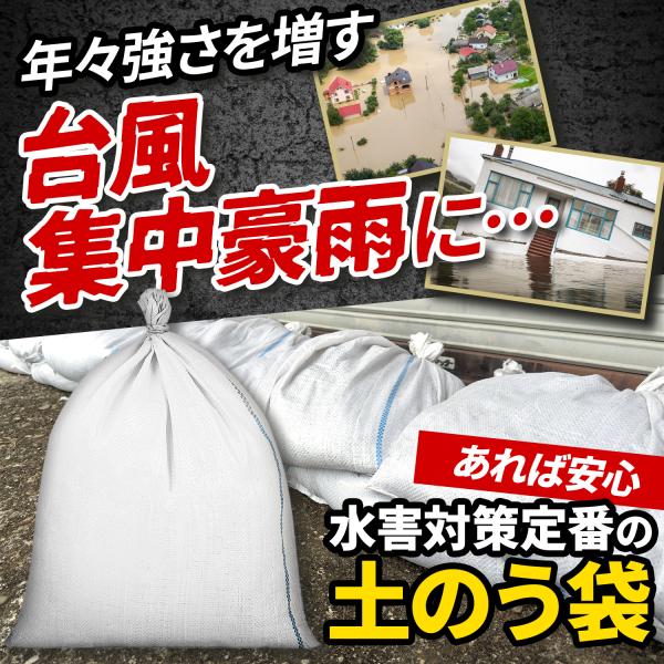 �y�̂��� 50�� 48cm�~62cm �y�X�� �䕗�΍� �h�Зp �Z���΍� �y�� �S�~�� ���ݑ� ���| ���i�摜1