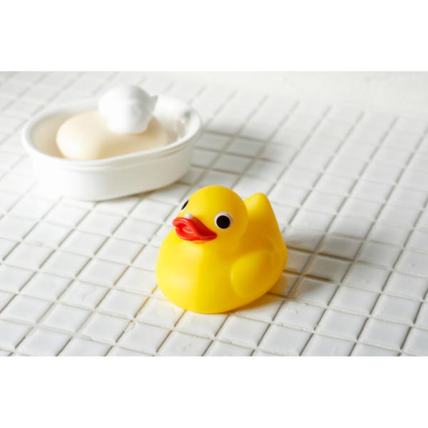 Sassy（知育玩具） 【今だけ！2BUY10％OFF】Sassy サッシー