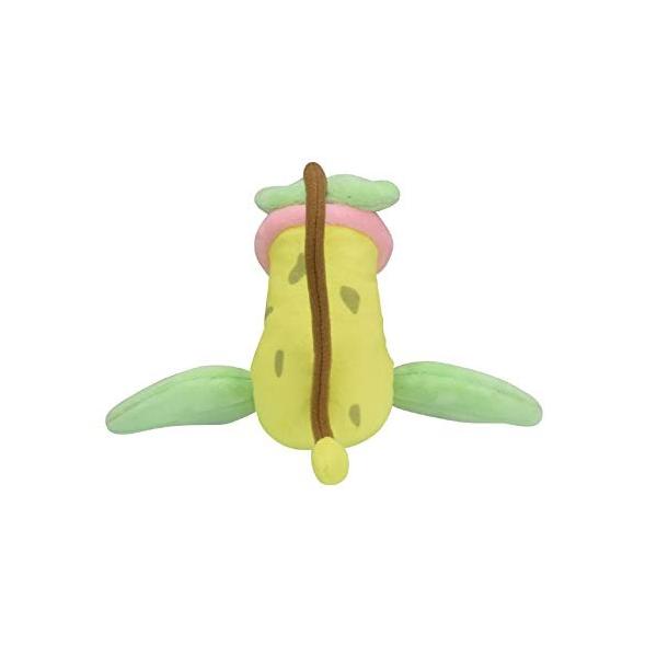 ポケモンセンターオリジナル ぬいぐるみ Pokmon Fit ウツボット Mimibuttacavoli Com