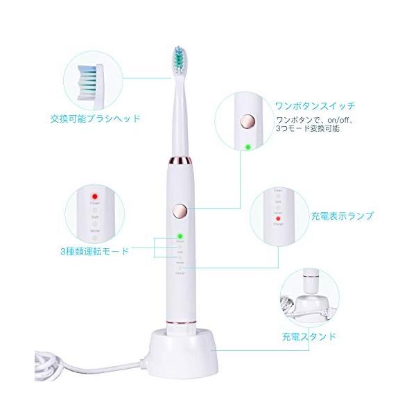 Coulax 電動歯ブラシ 音波式 3種類運転モード ワイヤレス充電 歯磨き 替えブラシ2本付 口臭予防 Hh 通販 激安 Ipx7防水