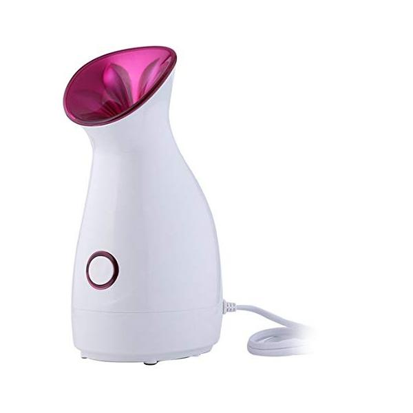 ナノイオニック フェイシャルスチーマー ナノイオンスチームタイプ 強力スチームで保湿効果 化粧ノリｕｐ かわいい フラワー型 Prettyfunnyballoons Com