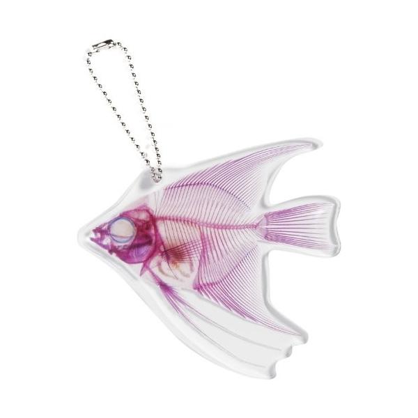 サンメニー キーホルダー 骨シリーズ アロアナ H 003 Pindo Com Py