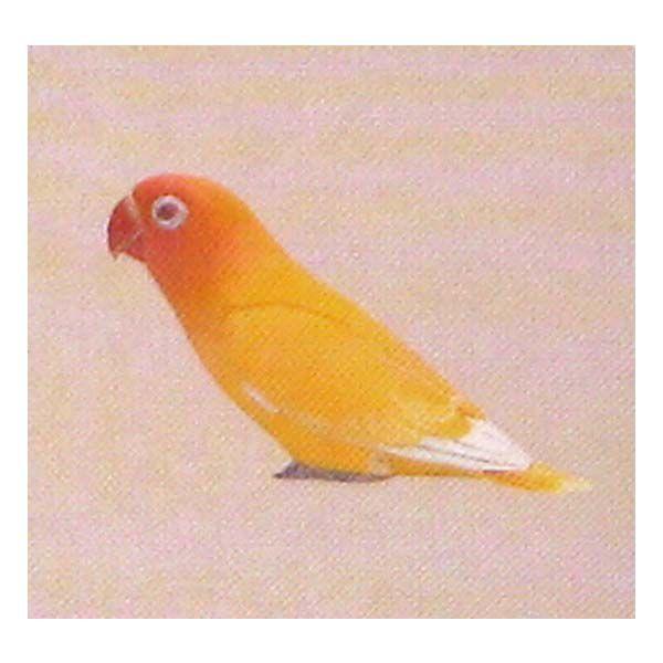 t^Cm `RGbO ybgRNV 2e 060FLGN{^CRi`m[j  H ܂ tBMA