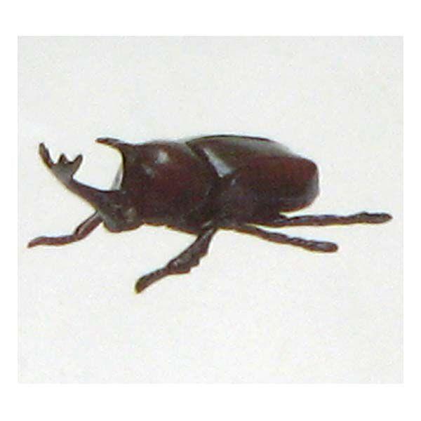 t^Cm `RGbONVbN {̓RNV 010CFJugV  H ܂ tBMA