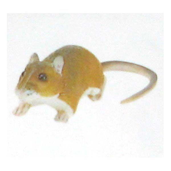 t^Cm `RGbONVbN {̓RNV 031CFAJlY~ M H ܂ tBMA