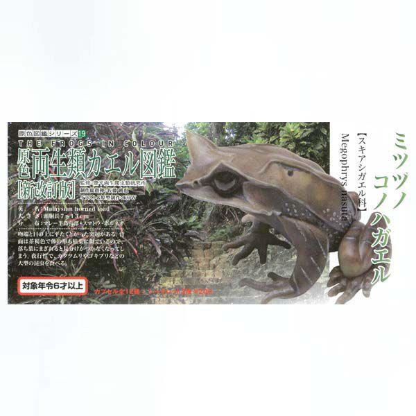 FރJG} V ~cdmRmnKG [W K`| KV| `RGbO tBMA