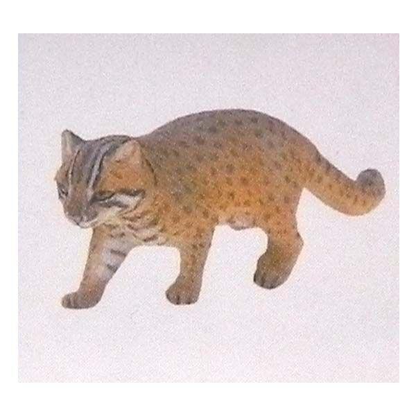 t^Cm `RGbO {̓RNV 5e 121FcV}}lR  L H ܂ tBMA