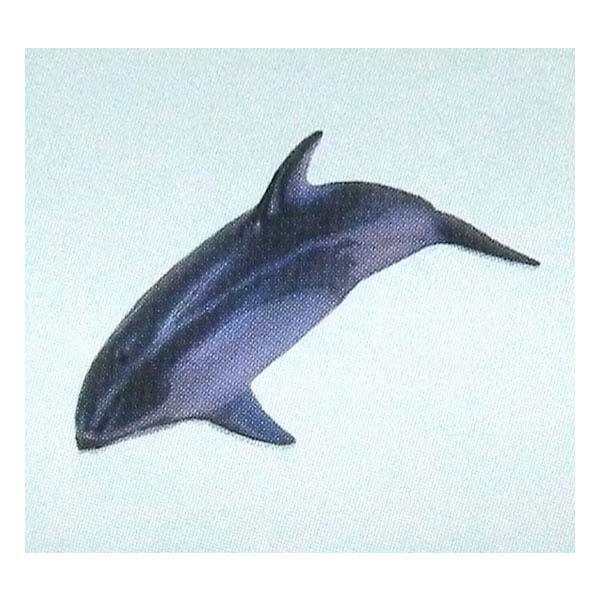 t^Cm `RGbO {̓RNV 5e 126FJ}CJ M H ܂ tBMA