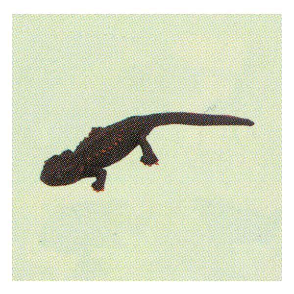 t^Cm `RGbO {̓RNV 5e 131FC{C  H ܂ tBMA