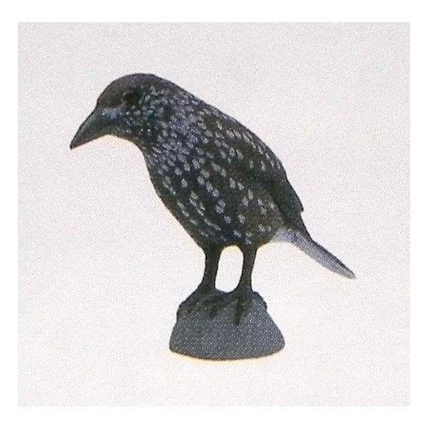 t^Cm `RGbO {̓RNV 5e 133FzVKX  H ܂ tBMA