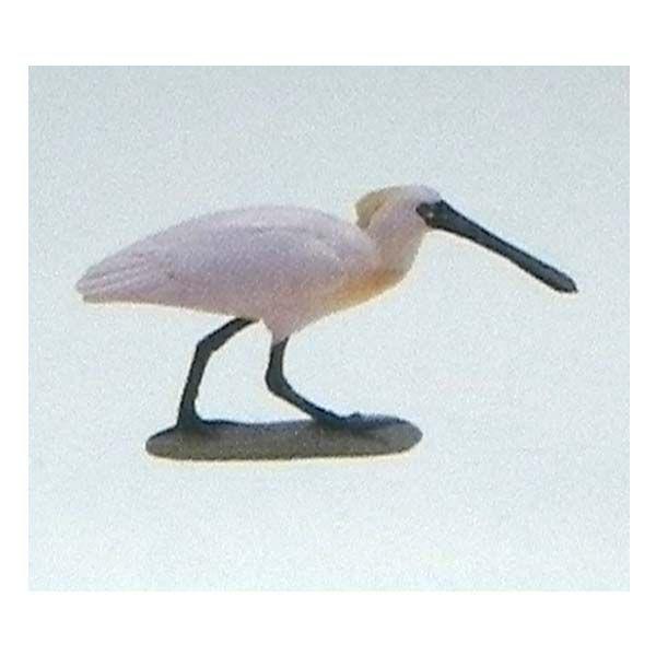 t^Cm `RGbO {̓RNV 5e 135FNcwTM  H ܂ tBMA