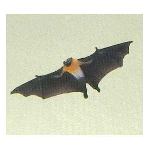 t^Cm `RGbO {̓RNV 5e 137F_CgEIIRE M  H ܂ tBMA