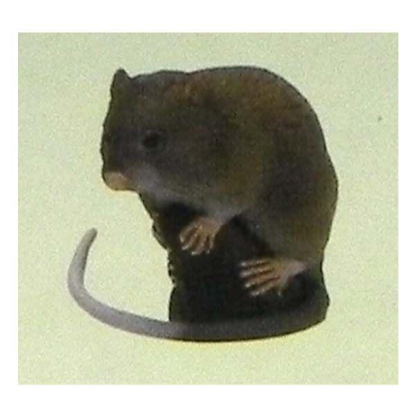 t^Cm `RGbO {̓RNV 5e 143FPiKlY~ M H ܂ tBMA