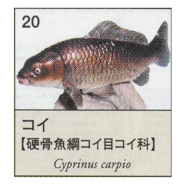 食玩 ミニフィギュア 魚図鑑の人気商品 通販 価格比較 価格 Com