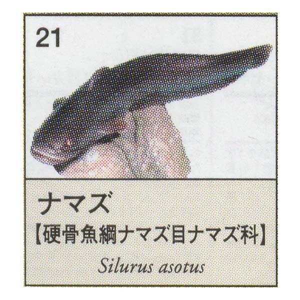 原色図鑑シリーズ6 原色淡水魚図鑑2 ナマズ ユージン ガチャポン デスクトップ フィギュア S だいだらぼっちヤフー店 通販 Yahoo ショッピング