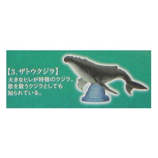 nIs }OLȊCɐސ UgENW G|bN K`| KV| `RGbO fXNgbv tBMA