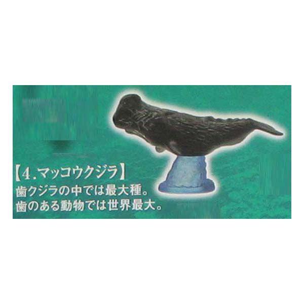 nIs }OLȊCɐސ }bRENW G|bN K`| KV| `RGbO fXNgbv tBMA