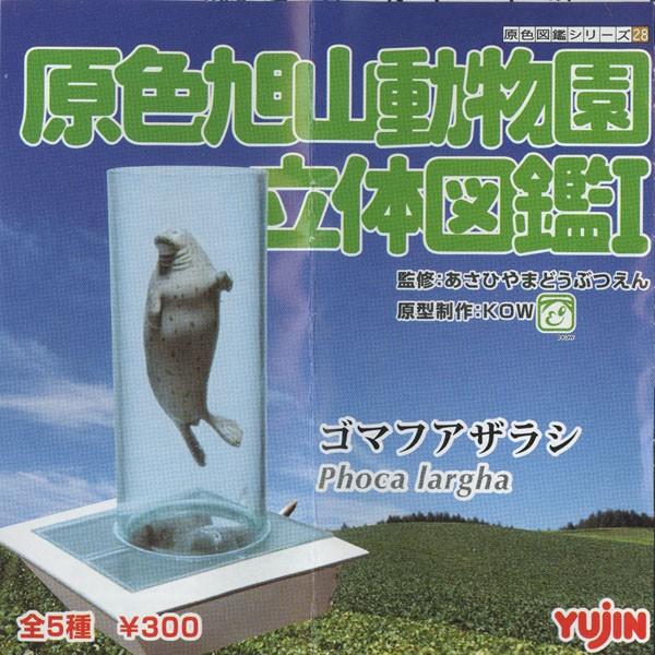 原色図鑑シリーズ28 原色旭山動物園立体図鑑1 ゴマフアザラシ Phoca Largha ユージン ガチャポン フィギュア S024 だいだらぼっちヤフー店 通販 Yahoo ショッピング