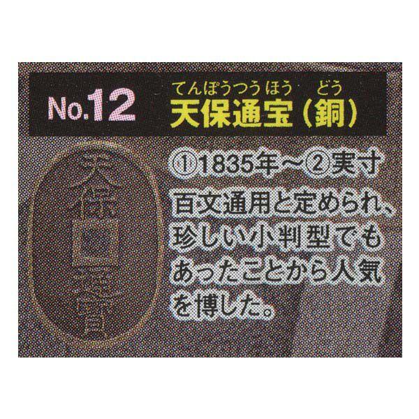 天保通寶 15枚セット 313g 天保通宝 天保通寶 15枚セット 313g